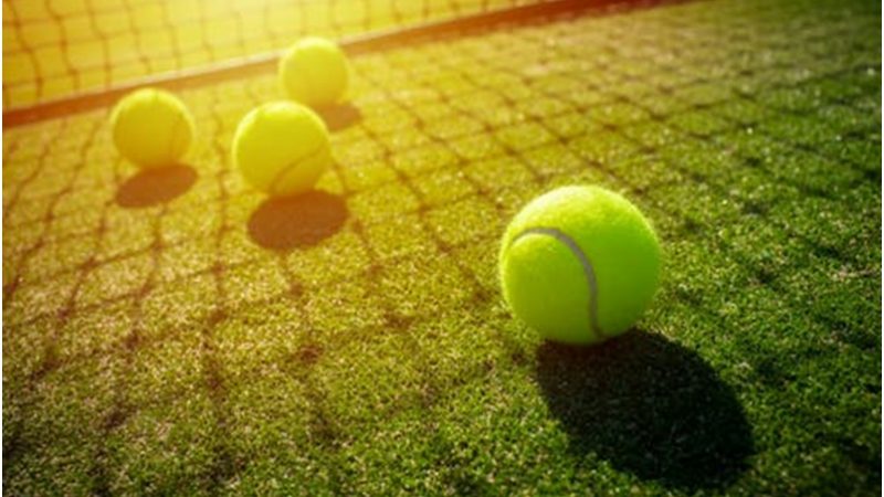 How much can the tennis court repair cost
