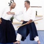 Why You Should Upgrade to Aikido Bokken